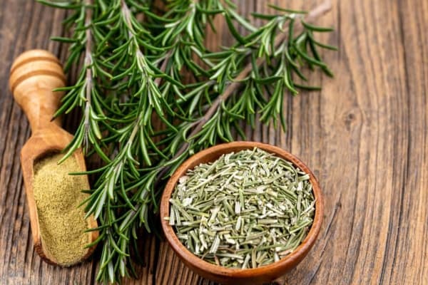 تصویر 3 از خرید گیاه رزماری خشک شده + قیمت عالی باکیفیت